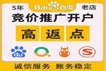 百度广告投放策略优化的经典案例
